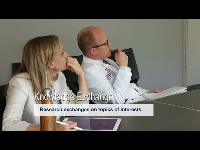 AI Partners Program