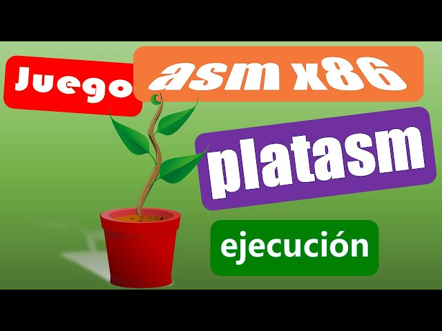 Prueba 2 ejecuciones platasm - juego - asm 8086 - emu8086 - tipo wordle