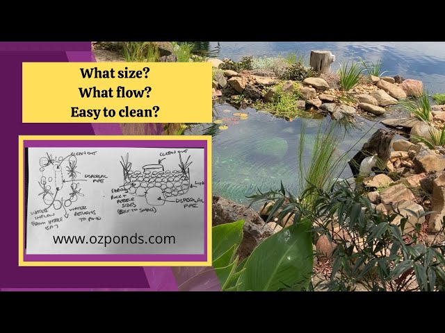 Designing a bog filter. Clear water every time!