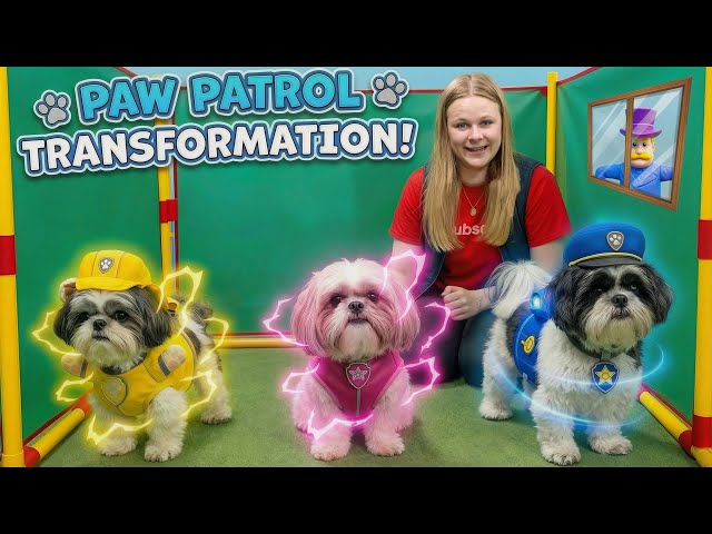 Assistant Finds her Dogs after Humdinger Turns Them into Paw Patrol!