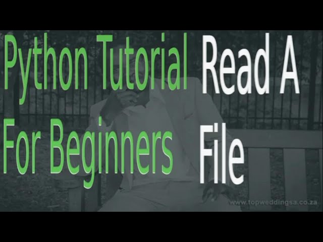 Become Proficient In Python Programming JT Devs | Read From FIle 2022