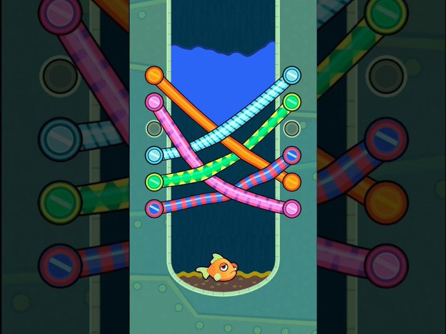 Save the fish 🐟🦈 102 🎮 Random Candy #shorts #fishdom