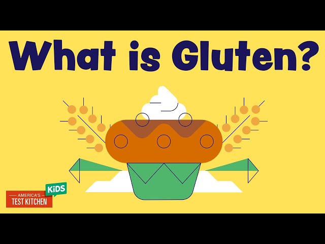 What is Gluten Anyway? | ATK Kids Food Science Explainers