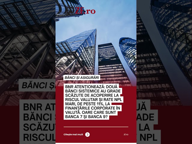 BNR atenţionează: Două bănci sistemice au grade scăzute de acoperire la riscul valutar