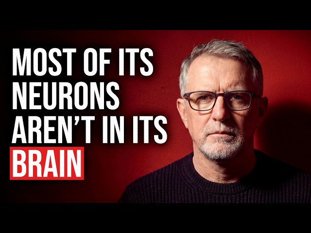 The Unsettling Truth About Consciousness