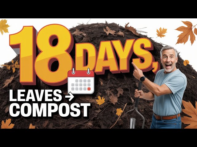 Leaf Composting in 18 Days: The Ultimate Hack!