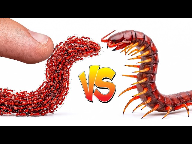 Ants vs Obstacles