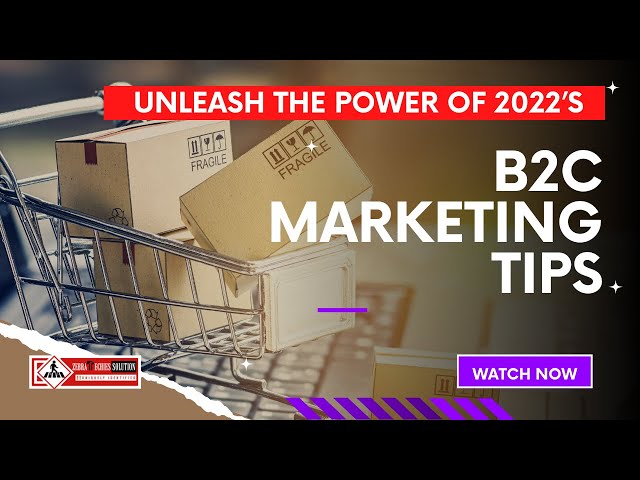 Zebra Techies | Unleash the Power of 2022’s B2C Marketing Tips To Enhance Your Sales Than Last Year