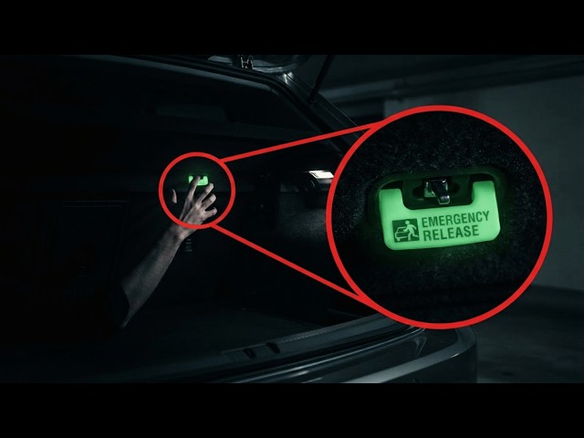 20 Car Secrets Even Your Dealership Doesn't Know