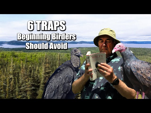 6 Traps Beginning Birders Should Avoid