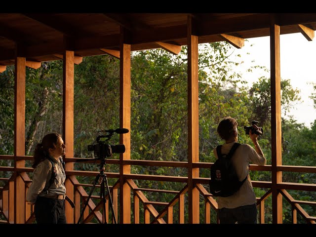Art in Dialogue with 100 Years of Tropical Science