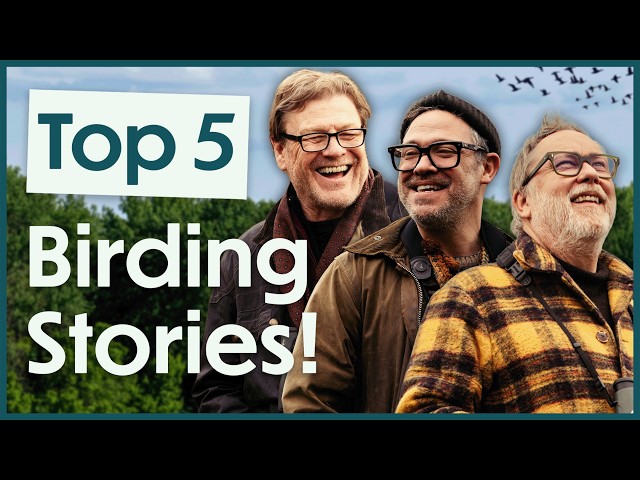 "It FOLLOWED Me Through the Trees!" BEST Birding Stories with Sean Bean, Will Young, Jim Moir & More