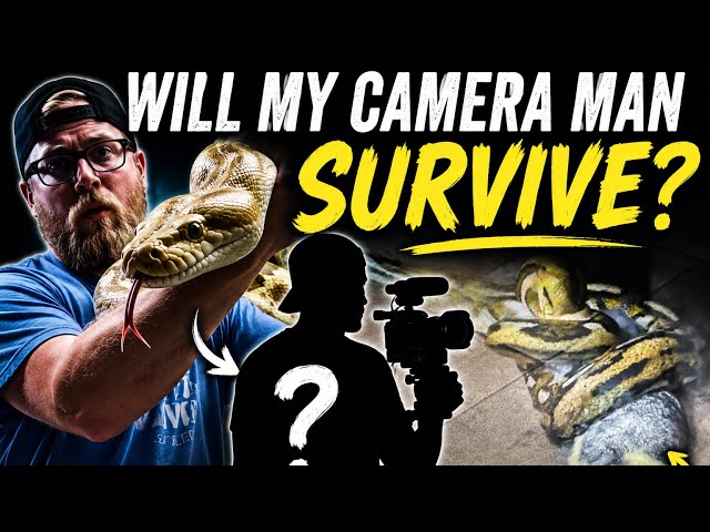 Will My Cameraman Survive Feeding Time?