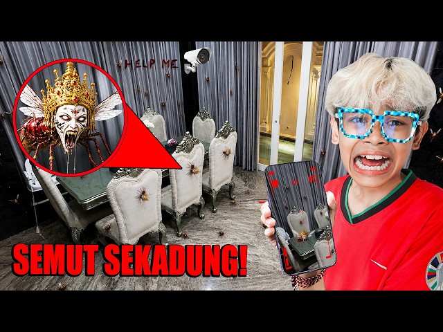 GAWAT! PASUKAN RATU SEMUT SEKADUNG KADING MENYERBU RUMAH BOCIL TERPANTAU DARI CCTV!