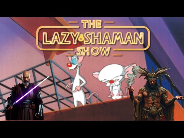 What Are We Gonna Do Tonight..