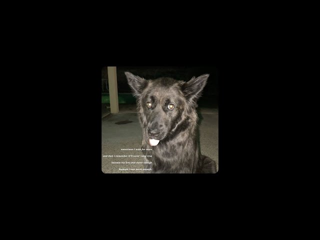 An Actual Gut-Wrenching Playlist ୭ ˚. ᵎᵎ