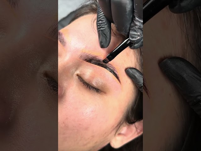 Elan Smart Brow Tinting System 2.0 - World’s First pH Neutral Tint