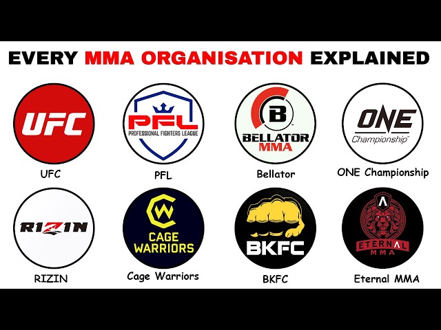 Every MMA Organization Explained