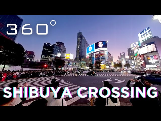 6K 360° VR, Shibuya Crossing, Tokyo, Japan