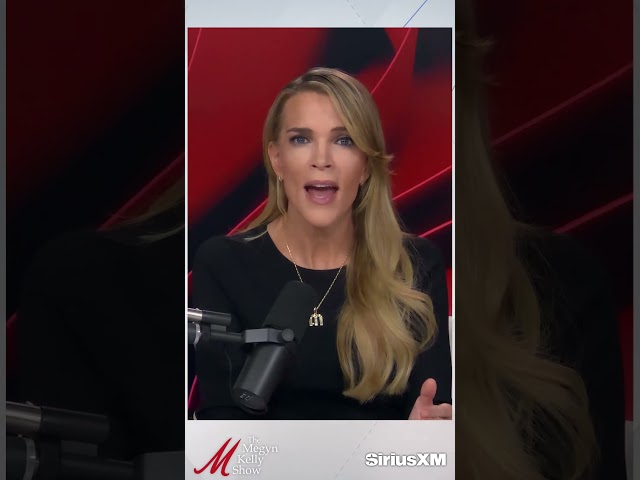 Megyn Kelly Reacts to Disturbing and Infuriating Footage of Henry Nowak's Stabbing Death in UK