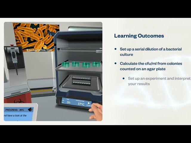 Bacterial Quantification by Culture | Virtual Lab