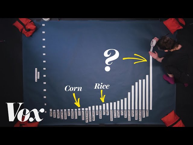 Why beef is the worst food for the climate