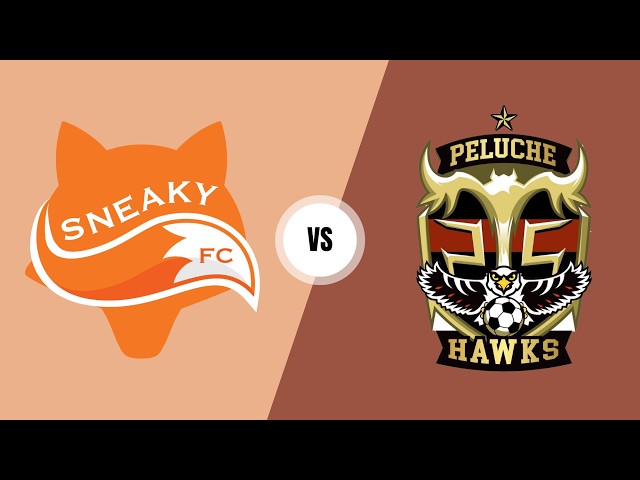 Sneaky FC vs Peluche Hawks | Mixed $1M Championship | TST 2026