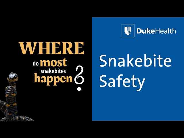 Snakebite Safety