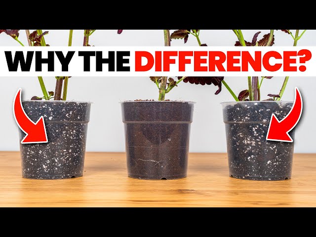 What Pros Know About Soil That Beginners Don't