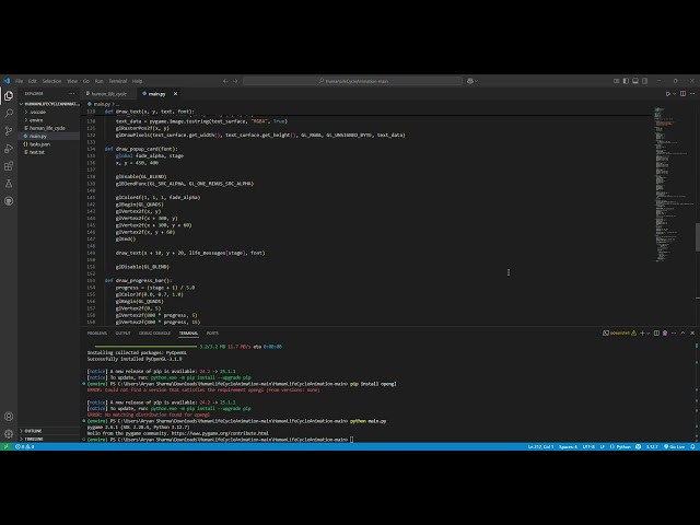 Human Life Cycle Animation in Python | Pygame Graphics Project with Birds & Scenery