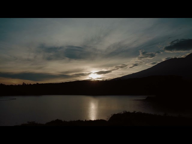 JavaScript Tips: Step-by-Step Tutorial