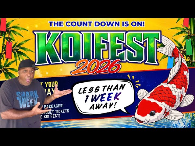 2026 KOI FEST less than a week away!