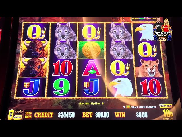 BEST RUN EVER!  BUFFALO LINK MUST SEE! MAX BET!