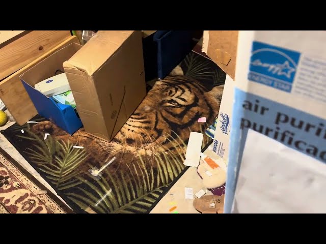 End series boomerang end, end series info, and making 2 cardboard TVs. (April 23, 2024) [Eureka Ser]