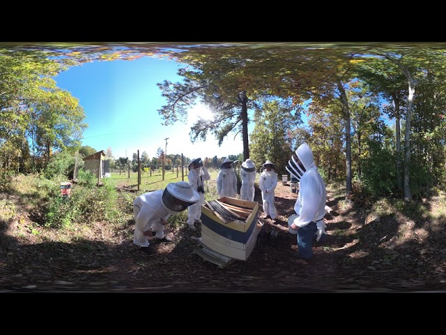 Briggs Community Garden, Apiary