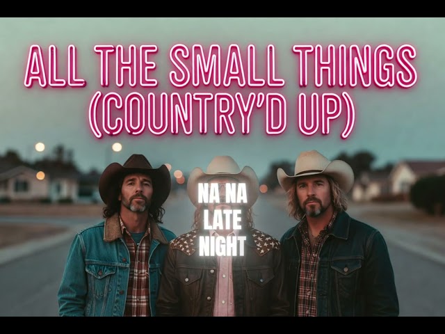 All The Small Things Country’d Up | Blink 182 Country Cover