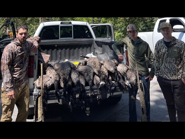 3 man goose limit 