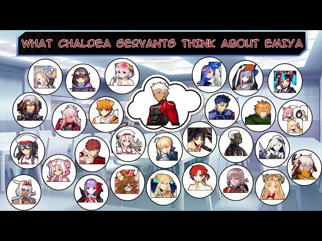 【FGO】What Chaldea Servants think about EMIYA