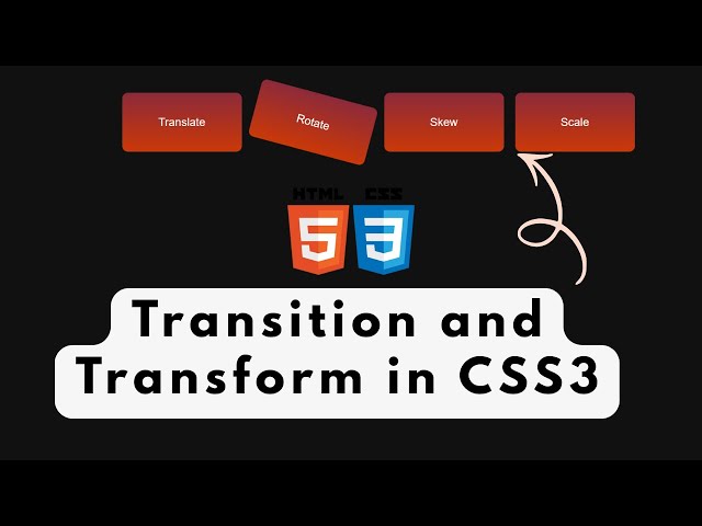 🔥 CSS Transform Effects — Translate, Rotate, Skew & Scale!