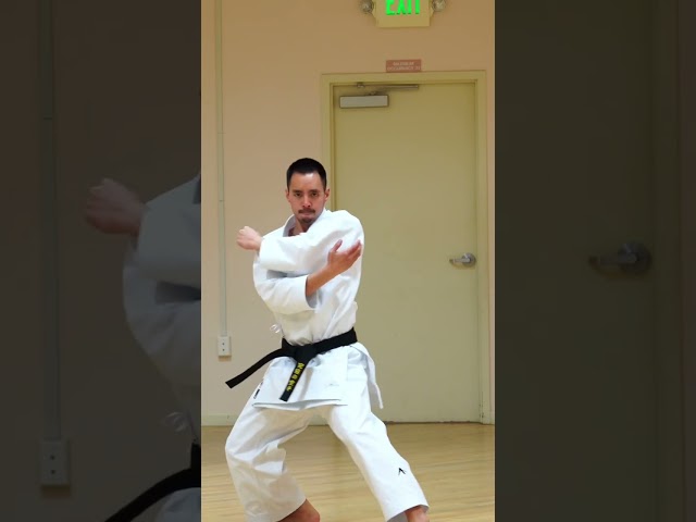 SOCHIN | Shotokan Karate Kata