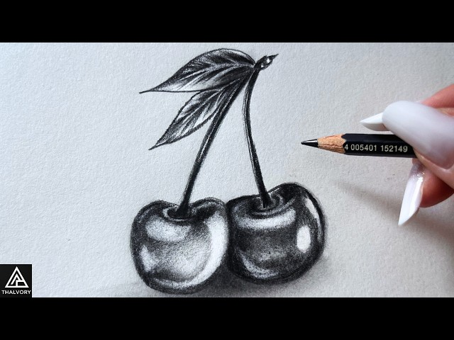 How to Draw Realistic Cherries for Beginners | Easy Pencil Drawing Tutorial