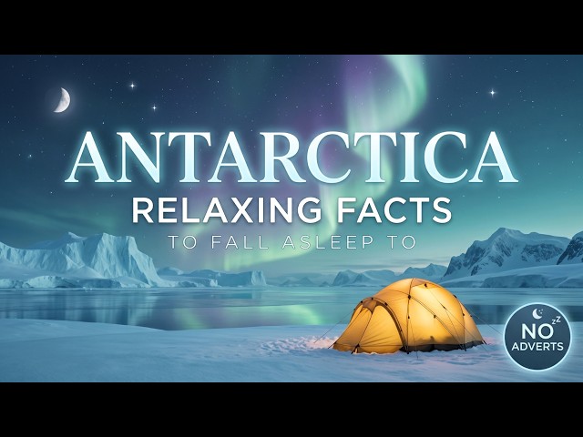 The Most Relaxing Facts About Antarctica to Asleep To - No Adverts
