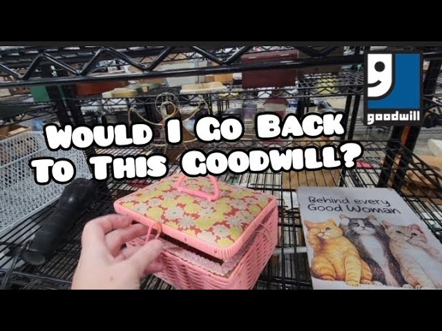 Would I Go Back to This Goodwill? - Shop Along With Me - Goodwill Thrift Store