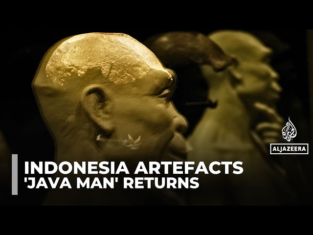 Indonesia welcomes return of ‘Java Man’, first fossil evidence of Homo erectus