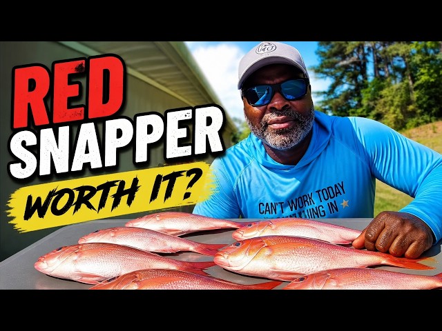 Is This the Best Red Snapper Spot in Florida?