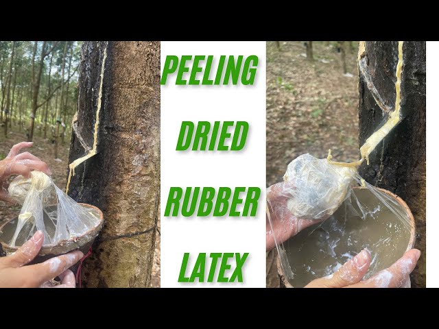 Make Use of Every Drop of Latex