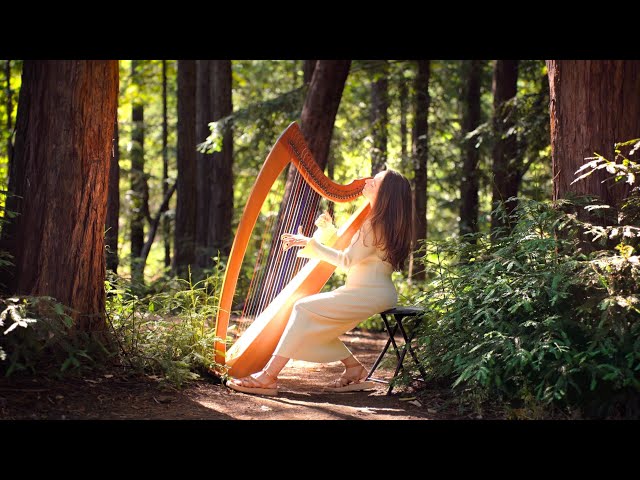 Into the Light (432 Hz): 1 Hour of Healing Harp Music | Sarah Bhalla