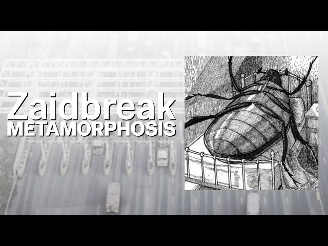 METAMORPHOSIS - Zaidbreak