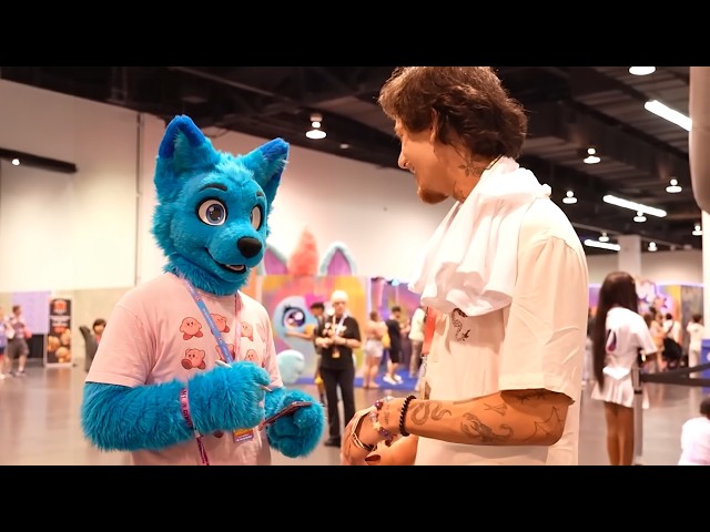 my fans are weird