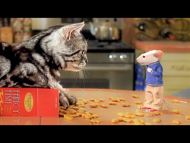 The Mouse With A Cat | Stuart Little (Michael J. Fox)